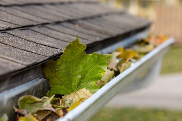Commercial Downspout Cleaning in White Lake