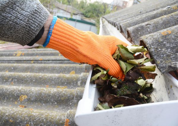 Stopped Gutter Cleaning