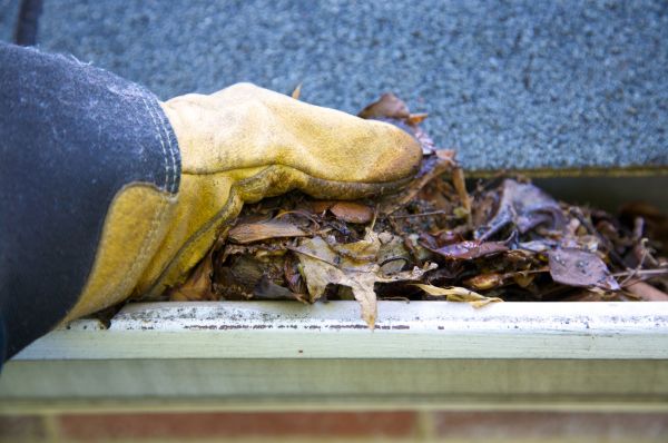 Jammed Gutter Cleaning Service