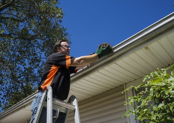 Cost of Eavestrough Clearing in White Lake