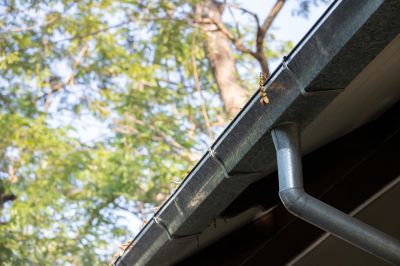 Commercial Gutter Maintenance