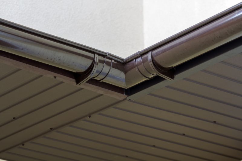 Commercial Gutter Maintenance detail