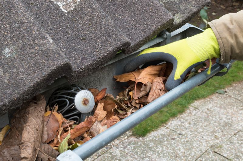 Clogged Gutter Inspection