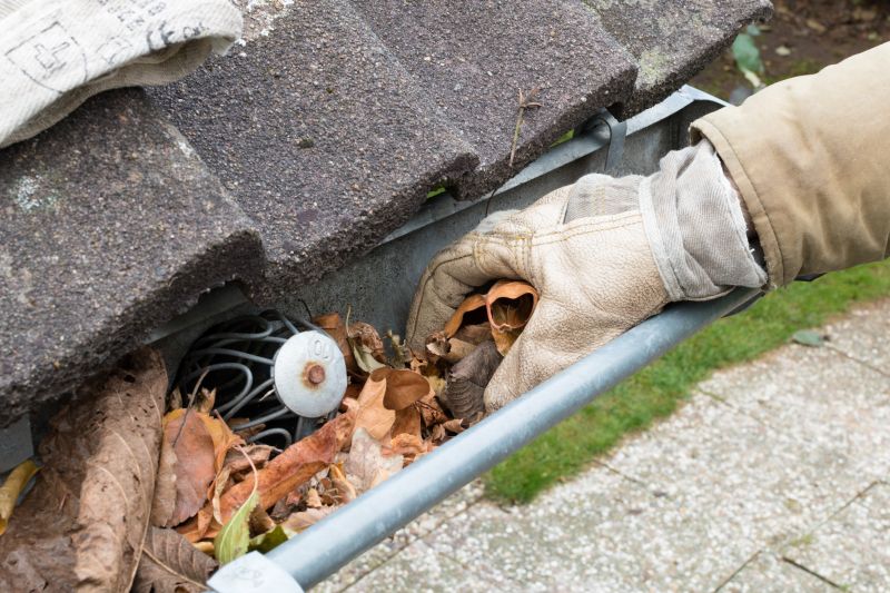 Clean and Maintained Gutters