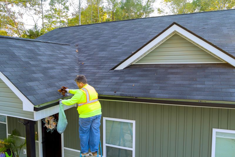 Gutter Maintenance Service