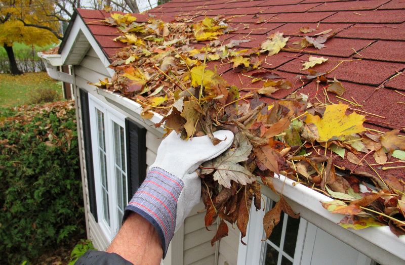 Local Gutter Cleaning Experts